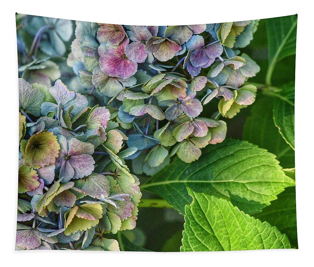 Hydrangeas Tapestry featuring the photograph Changing Seasons by Bonnie Bruno