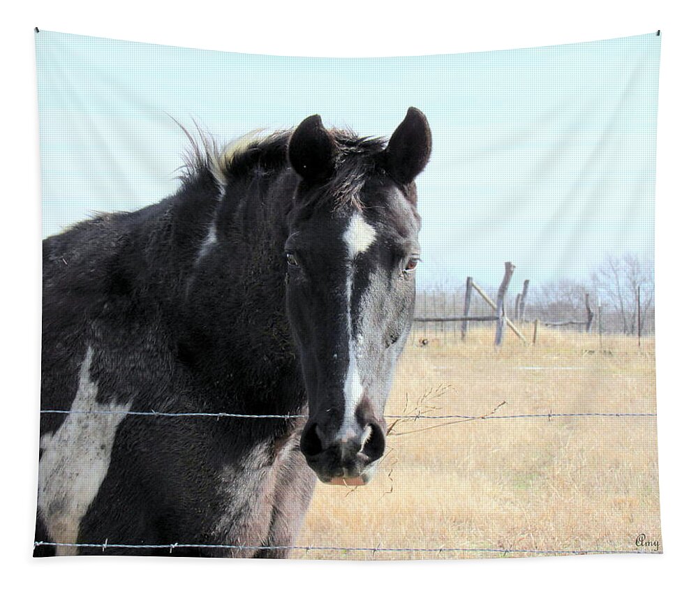 Paint Horse Tapestry featuring the photograph Charlie by Amy Hosp