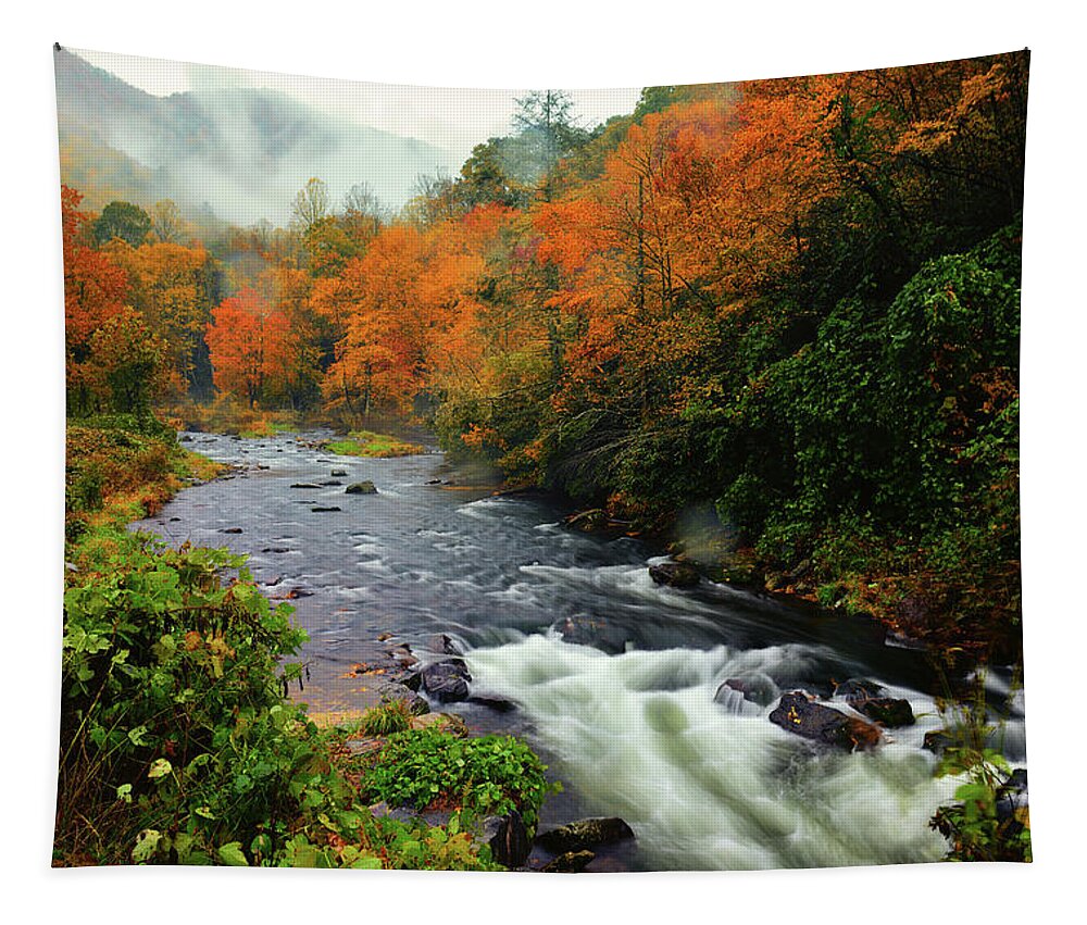 Great Smoky Mountains National Park Tapestry featuring the photograph Cherokee Autumn by Greg Norrell