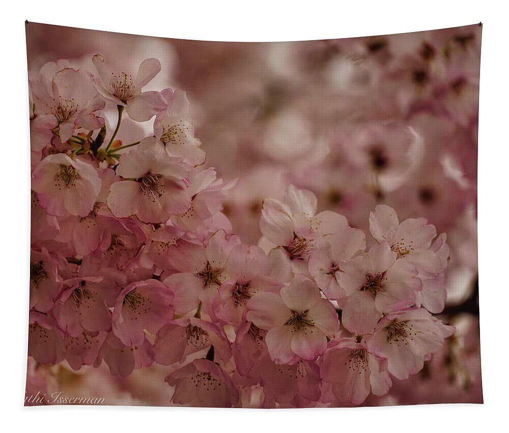 Cherry Blossoms Tapestry featuring the photograph Cherry Blossoms 2019A by Kathi Isserman
