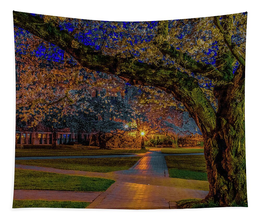Cherry Blossom Tapestry featuring the photograph Cherry Blossoms at Dawn by Emerita Wheeling