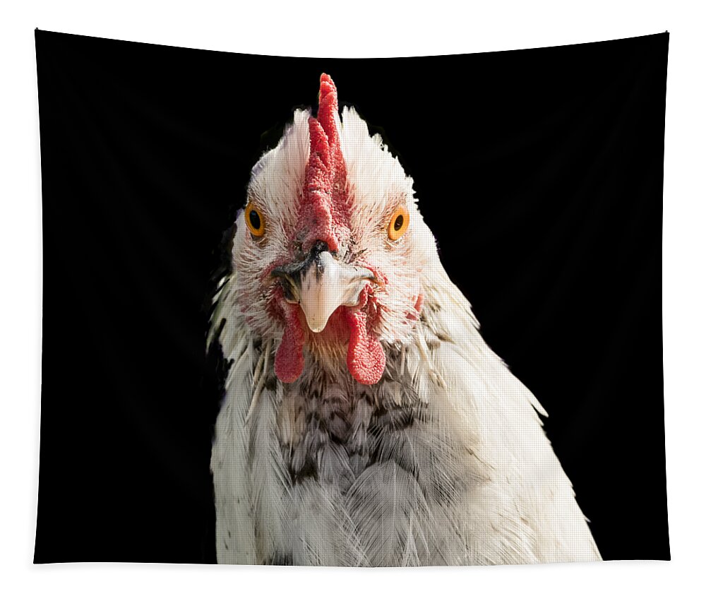 Chicken Head Tapestry featuring the photograph Chicken Head by Jean Noren