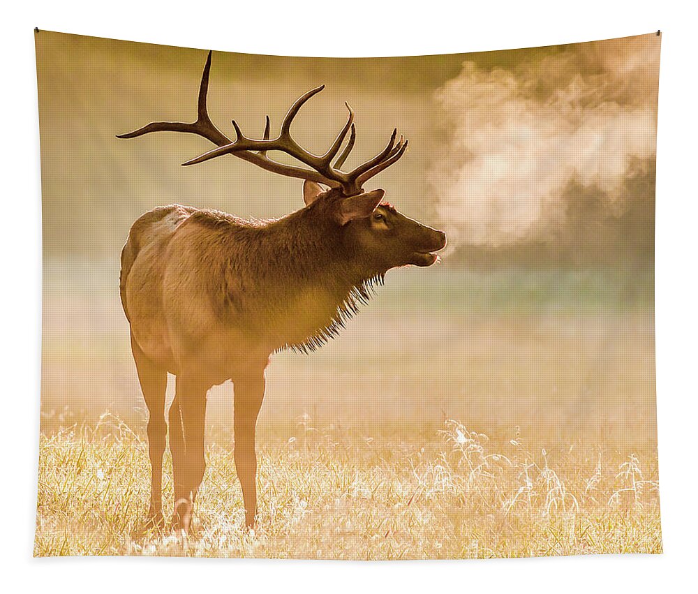 Elk Tapestry featuring the photograph Frosty Bugle Breath by Marcy Wielfaert