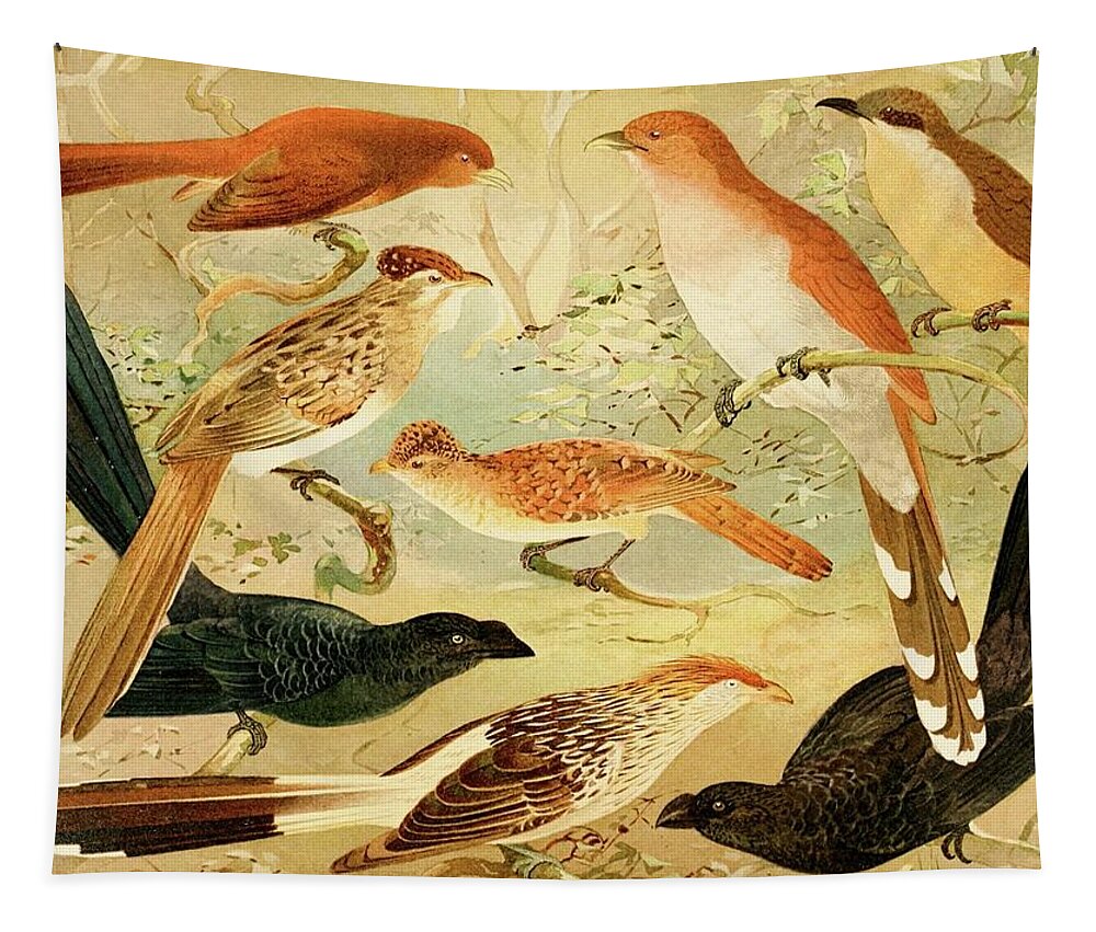 Chinco, Saci, An, Quirir Tapestry by Emil August G?ldi - Fine Art America
