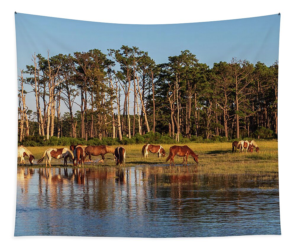 Grass Tapestry featuring the photograph chincoteague Island ponies by Louis Dallara