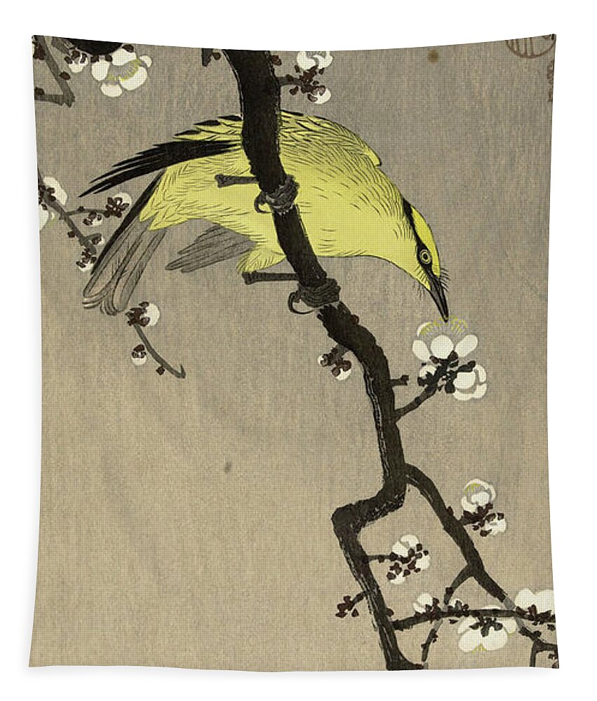 Chinese Golden Oriole Tapestry featuring the painting Chinese golden oriole on plum blossom branch, 1910 by Ohara Koson