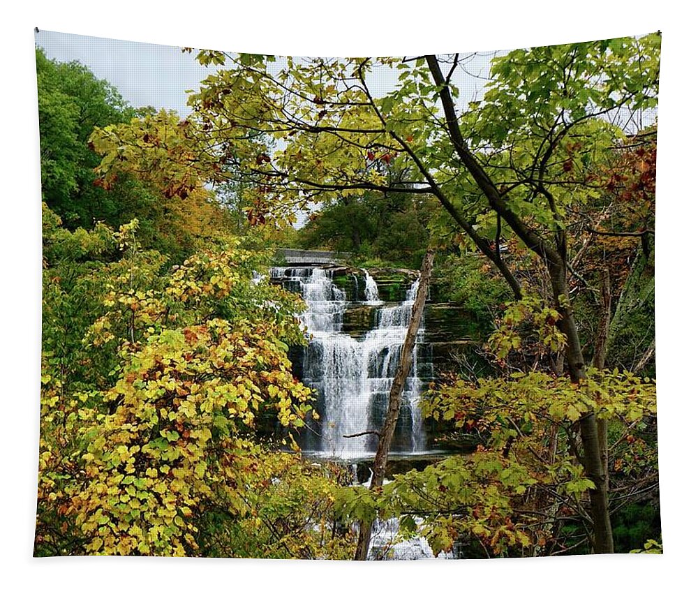 Chittenango Falls Tapestry featuring the photograph Chittenango Falls by Kathy Chism