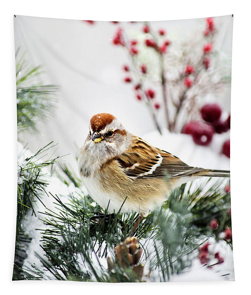 Bird Tapestry featuring the photograph Christmas Sparrow by Christina Rollo