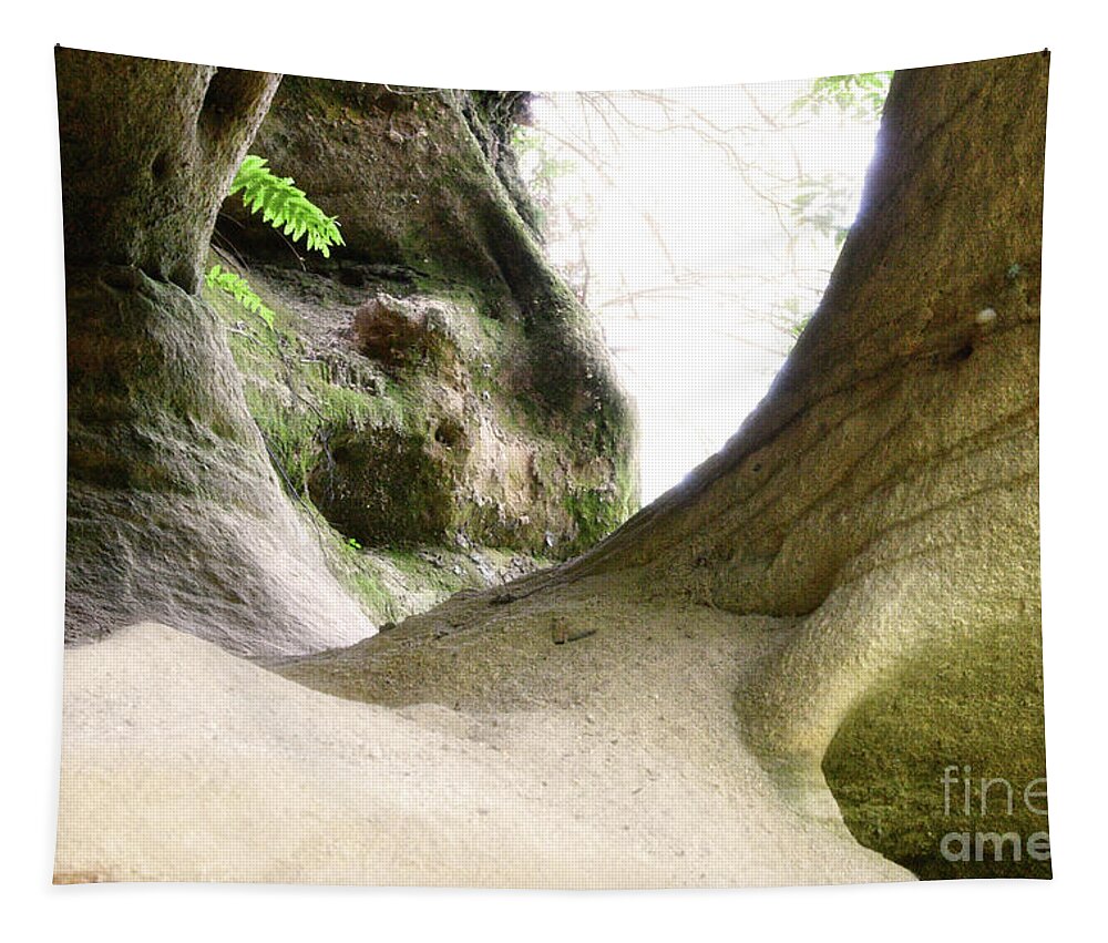 Pogue Creek Canyon Tapestry featuring the photograph Circle Bar Arch 10 by Phil Perkins
