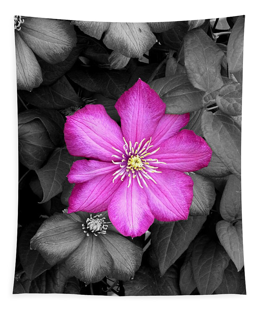 Clematis Vine Tapestry featuring the photograph Clematis Color Spot by Mike McBrayer