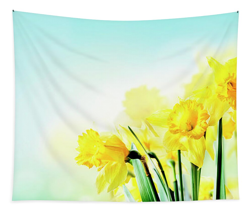 Daffodil Tapestry featuring the photograph Closeup of beautiful spring daffodil bunch in garden with sunlig by Jelena Jovanovic