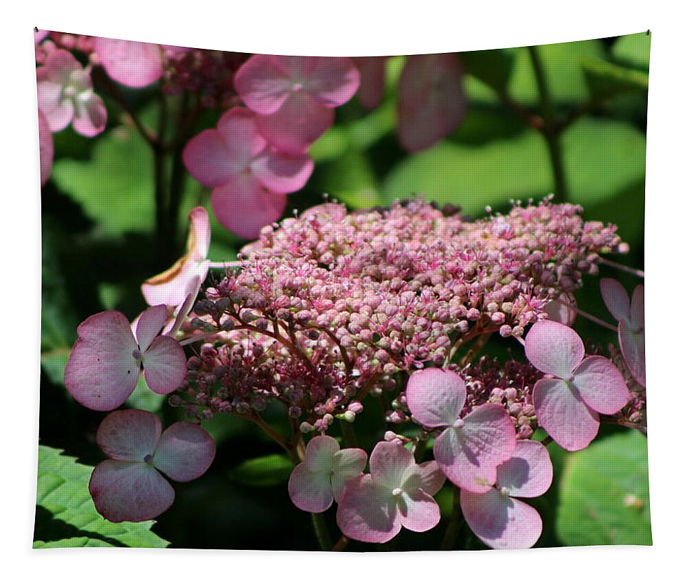 Hydrangea Tapestry featuring the photograph Closeup of Bouquet Pink Hydrangea by Colleen Cornelius
