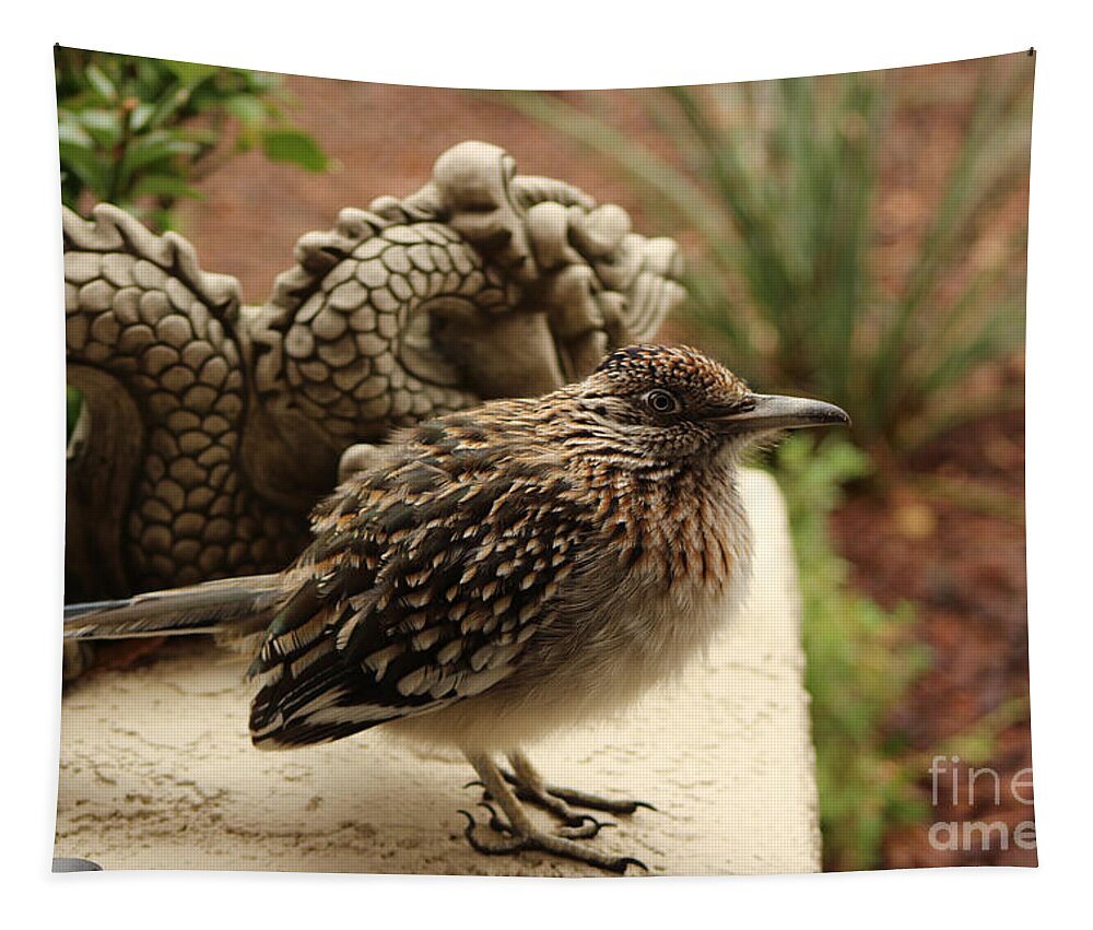 Roadrunner Tapestry featuring the photograph Closeup of Cold Fluffed Up Road Runner by Dragon by Colleen Cornelius
