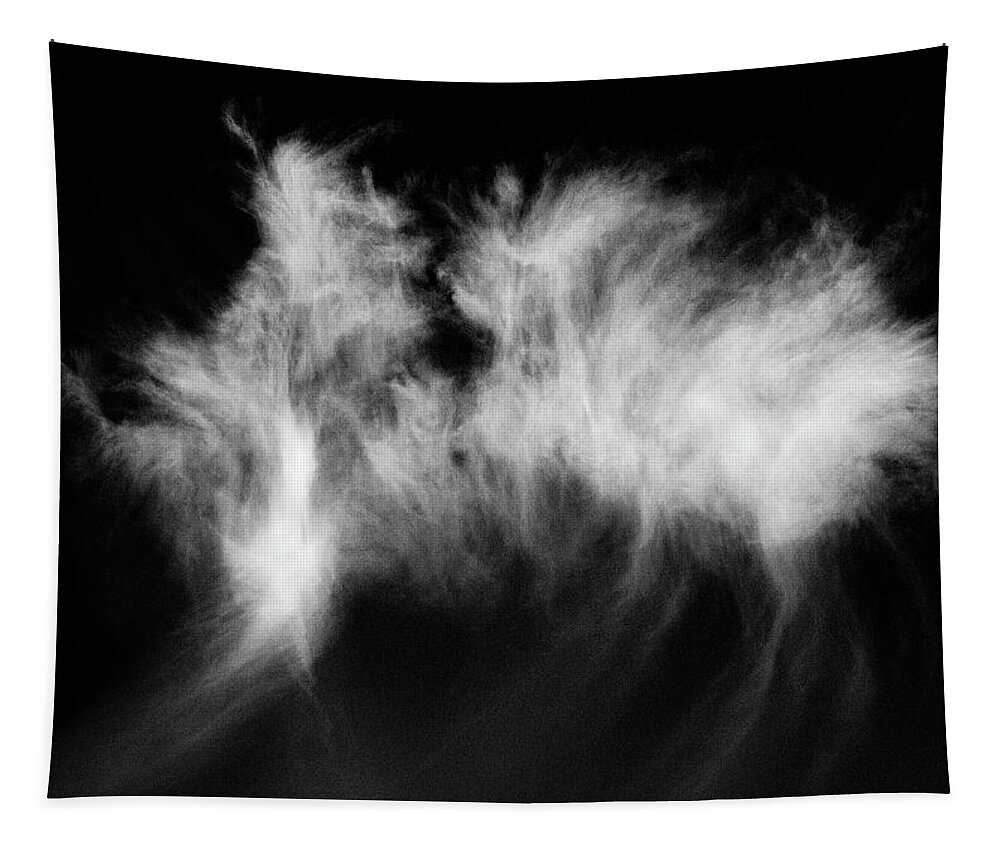 Sky Tapestry featuring the photograph Cloud study in B W by Paul W Faust - Impressions of Light