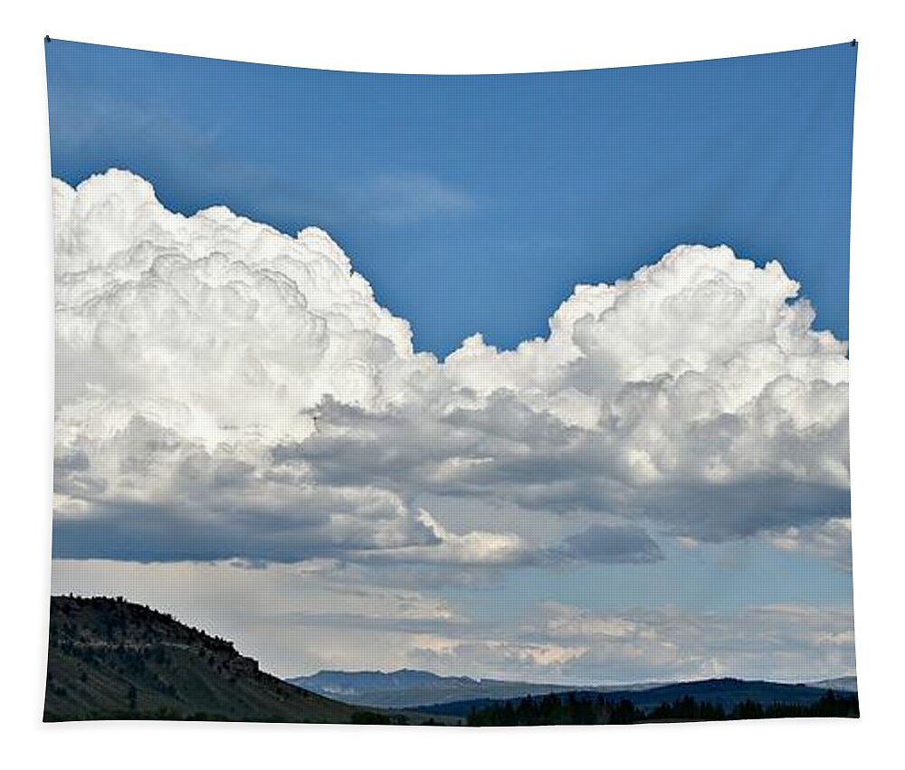 Clouds Tapestry featuring the photograph Clouds Are Forming by Dorrene BrownButterfield