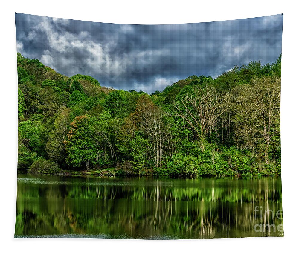 Big Ditch Lake Tapestry featuring the photograph Cloudy Spring Morning by Thomas R Fletcher