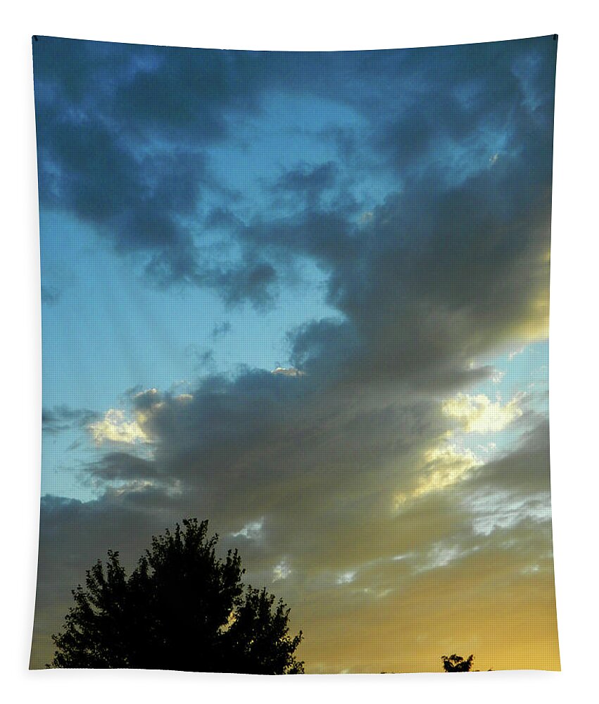 Cloudy Summer Skies Tapestry featuring the photograph Cloudy Summer Skies 1 by Cyryn Fyrcyd