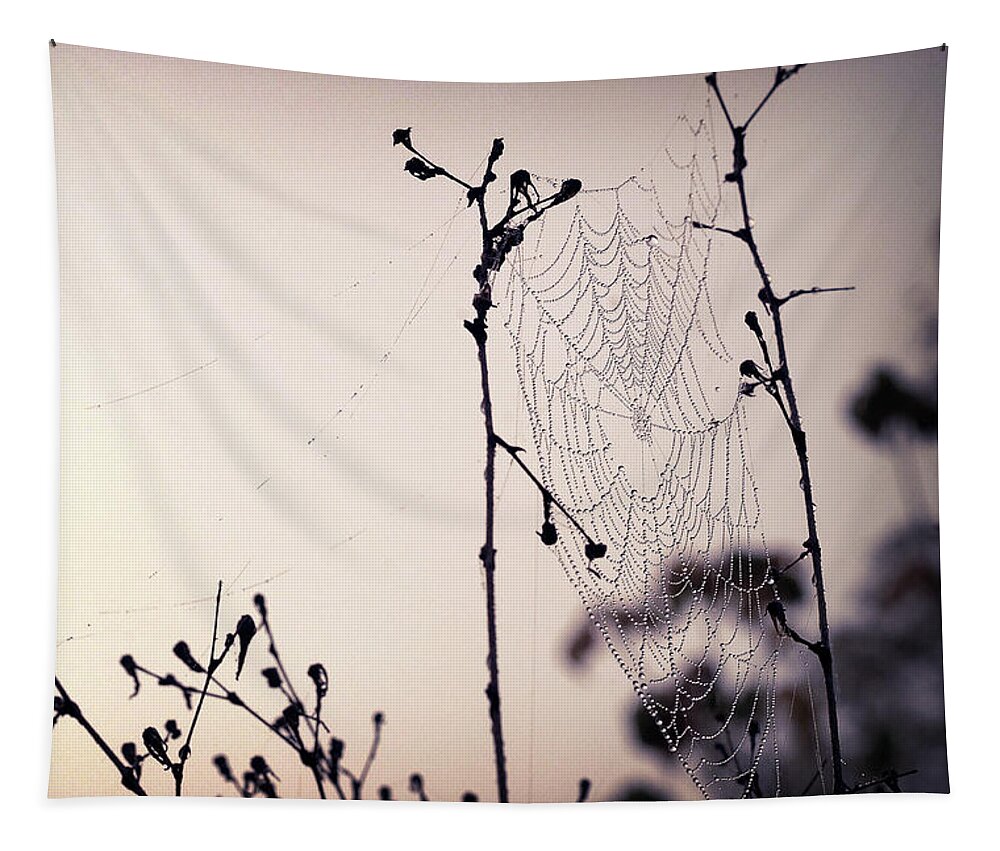 Pink Tapestry featuring the photograph Cob Webbed by Michelle Wermuth