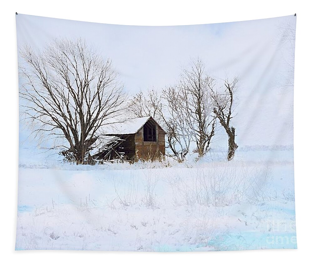 Photography Tapestry featuring the photograph Cold and Lonely by Larry Ricker