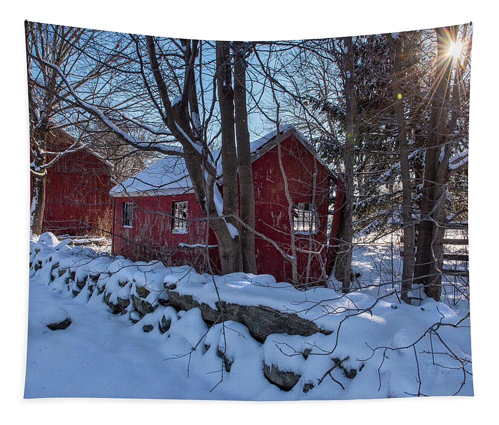 Winter Tapestry featuring the photograph Cold Winters Morn by TS Photo