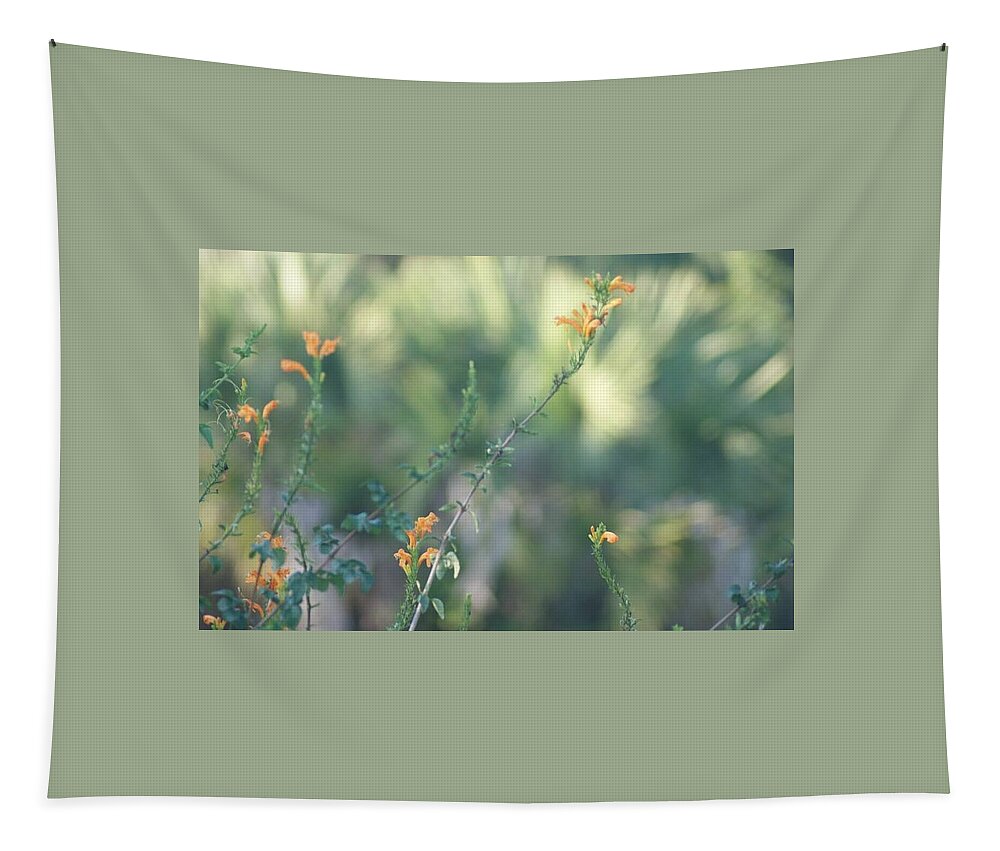 Florida Tapestry featuring the photograph Color in the Swamp by Lindsey Floyd