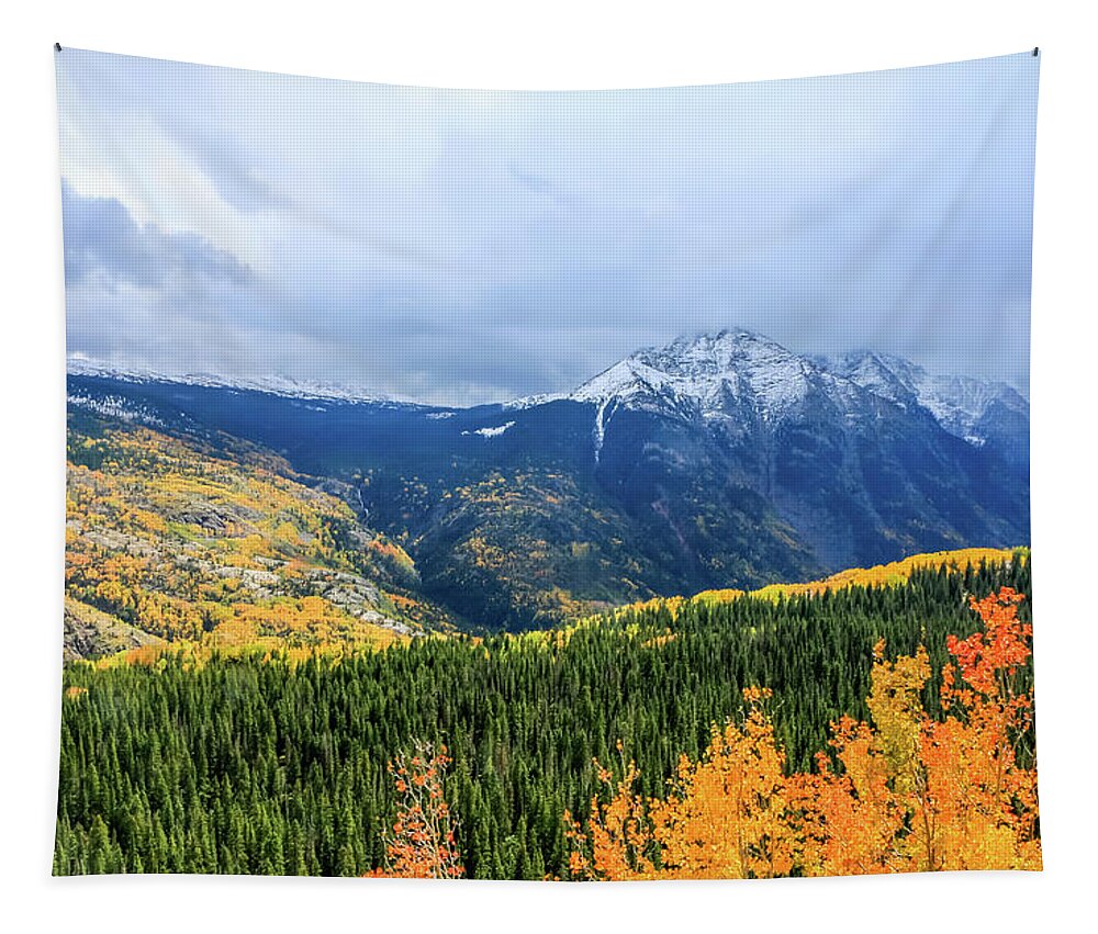 Aspen Tree Tapestry featuring the photograph Colorado Aspens and Mountains 3 by Dawn Richards