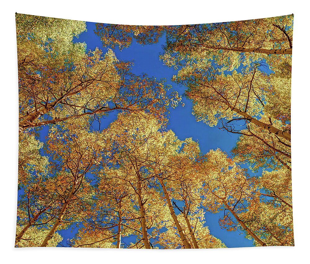 Colorado Tapestry featuring the photograph Colorado Autumn Sky by Lena Owens - OLena Art Vibrant Palette Knife and Graphic Design