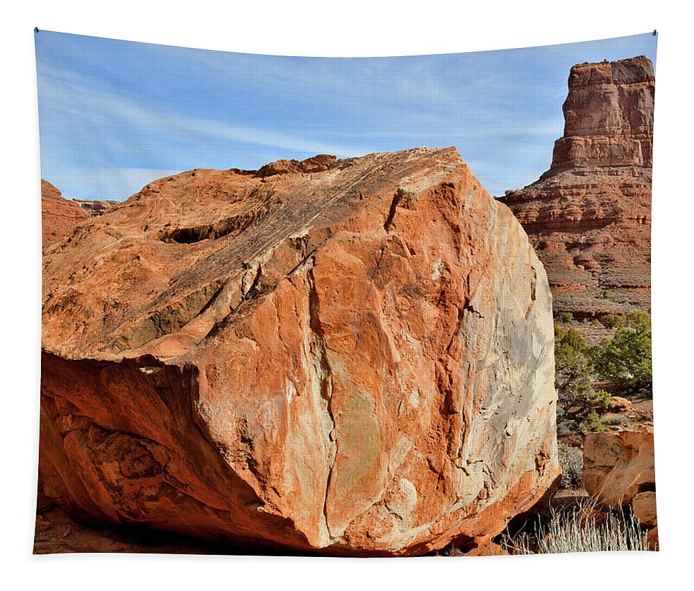 Valley Of The Gods Tapestry featuring the photograph Colorful Boulder and Butte in Valley of the Gods by Ray Mathis
