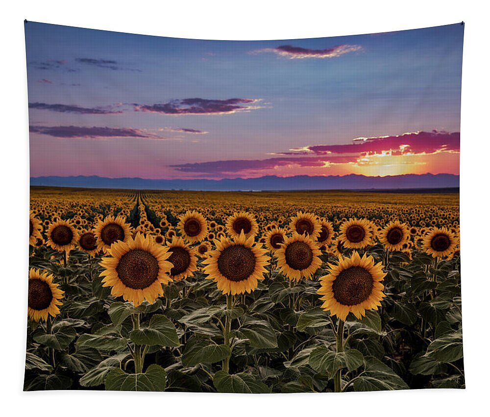 Colorado Tapestry featuring the photograph Colorful Colorado Sunset Over Sunflowers by Teri Virbickis