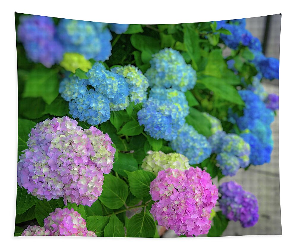 Hydrangeas Tapestry featuring the photograph Colorful Hydrangeas by Lora J Wilson