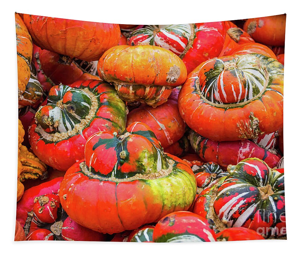 Pumpkin Tapestry featuring the photograph Colorful pumpkins by Lyl Dil Creations