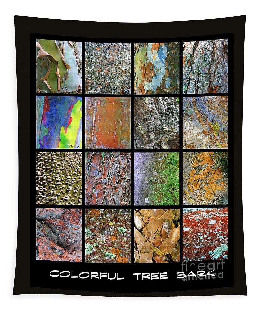 Poster Tapestry featuring the photograph Colorful Tree Bark by Mariarosa Rockefeller