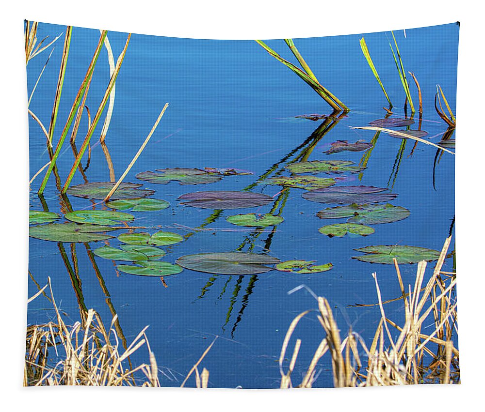 Savannah Tapestry featuring the photograph Colorful Winter Lilypads by Douglas Wielfaert