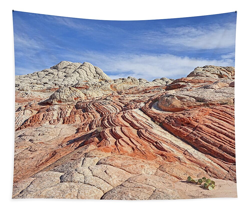 White Pocket Tapestry featuring the photograph Colors and Textures by Theo O'Connor