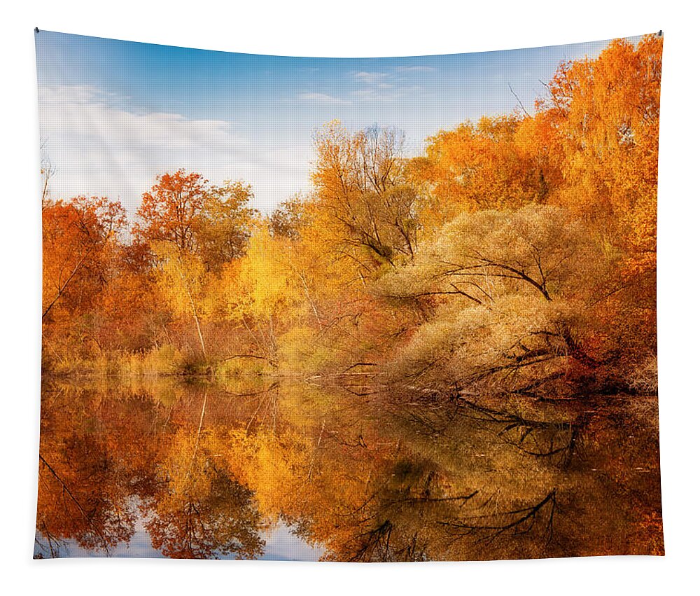 Forest Tapestry featuring the photograph Colors Explosion by Philippe Sainte-Laudy