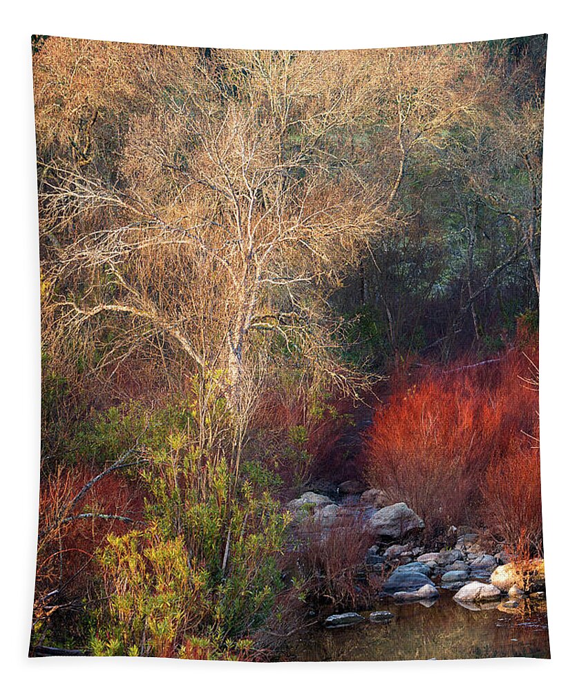 Andalusia Tapestry featuring the photograph Colors of Andalusia by Hernan Bua