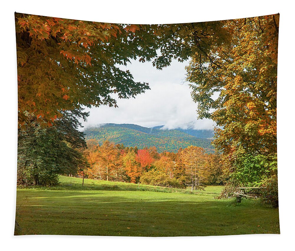 Trees Tapestry featuring the photograph Colors of Vermont by John Rivera