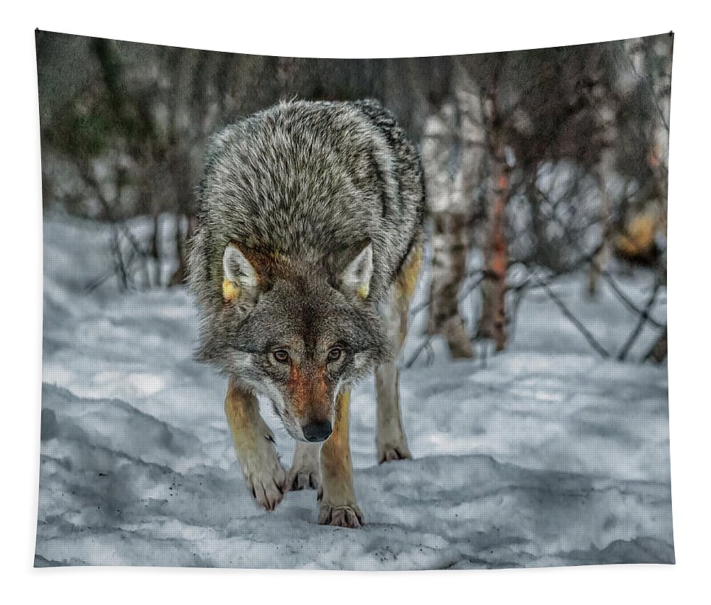 Wolf Tapestry featuring the photograph Comes a Wolf by Wade Aiken