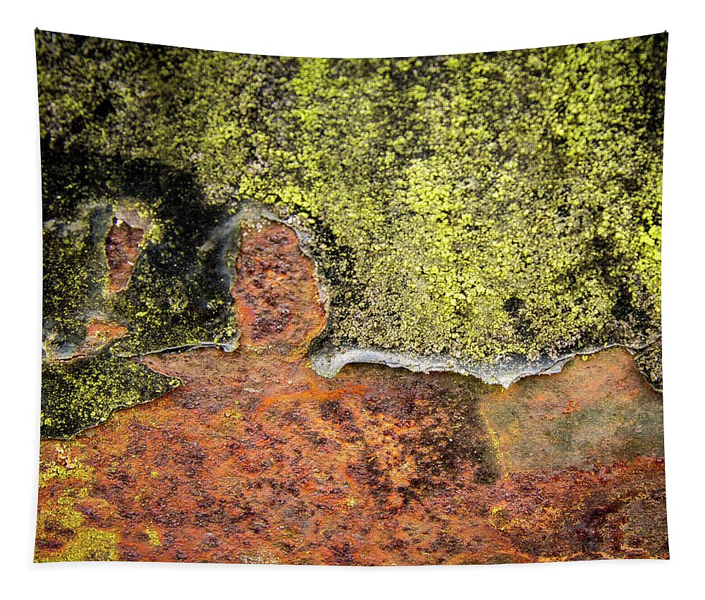 Complicated Rust Tapestry featuring the photograph Complicated Rust by Jean Noren