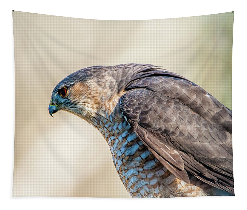 Hawk Tapestry featuring the photograph Concentration by Cathy Kovarik