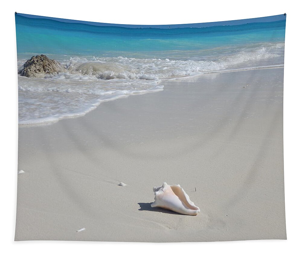 Conch Tapestry featuring the photograph Conch Shell at Leeward Beach Turks and Caicos by Patricia Caron