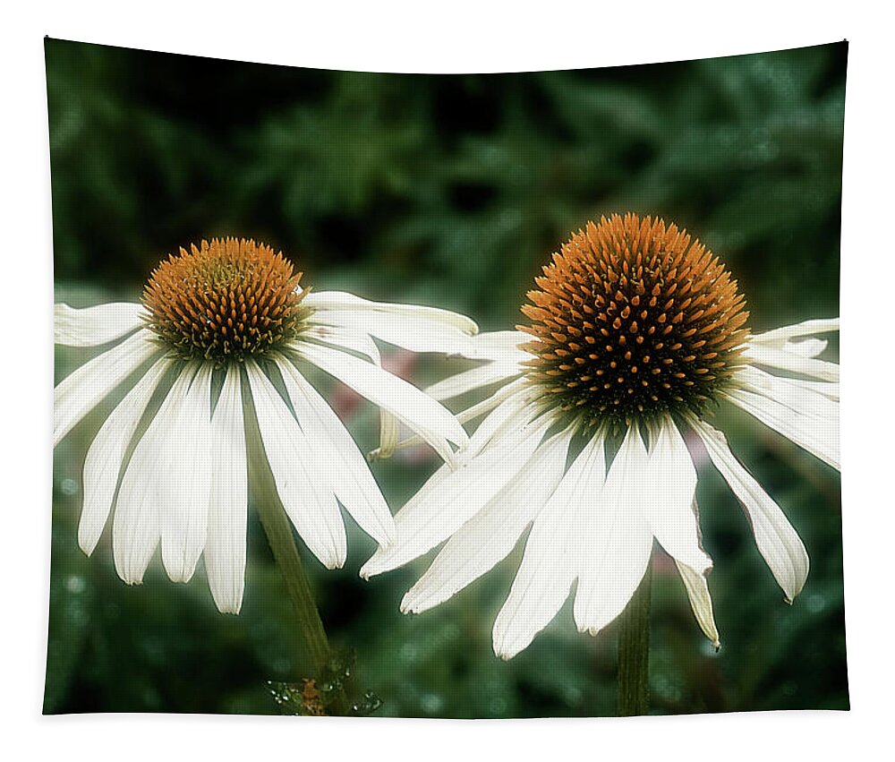 Coneflower Tapestry featuring the photograph Coneflower Duo by Catherine Reading