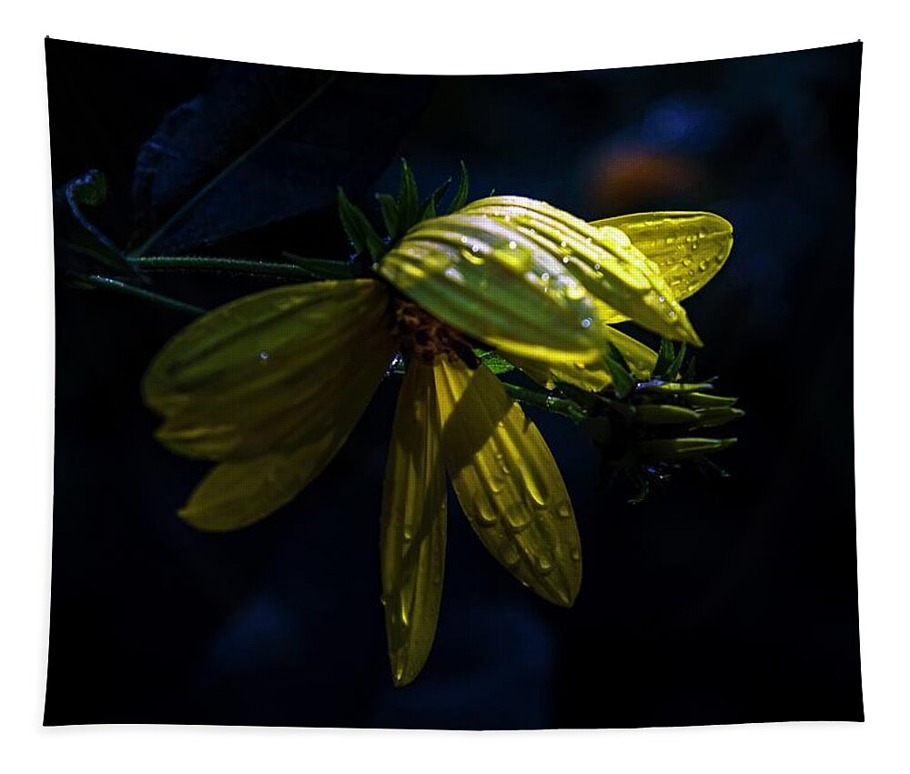 Yellow Tapestry featuring the photograph Constant by Terri Hart-Ellis