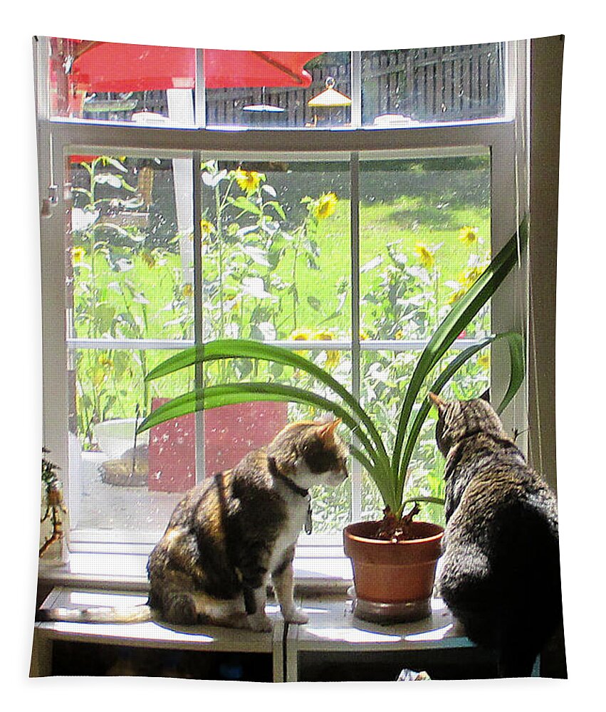 Cats At The Window Tapestry featuring the photograph Contempt Prior to Investigation by David Zimmerman