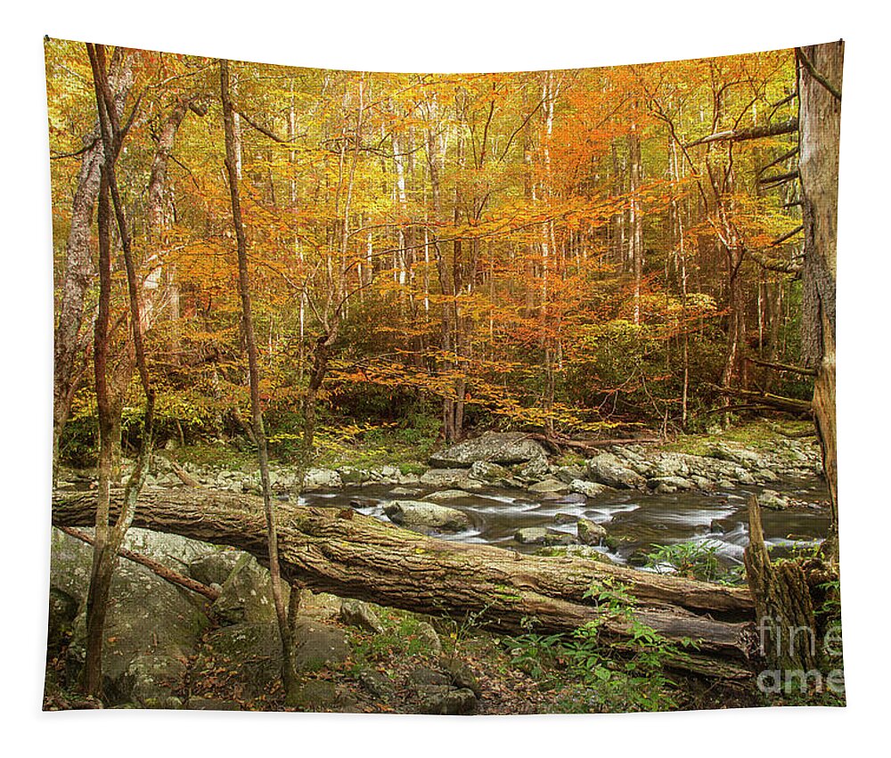 Fall Tapestry featuring the photograph Cool Air Autumn Leaves by Mike Eingle
