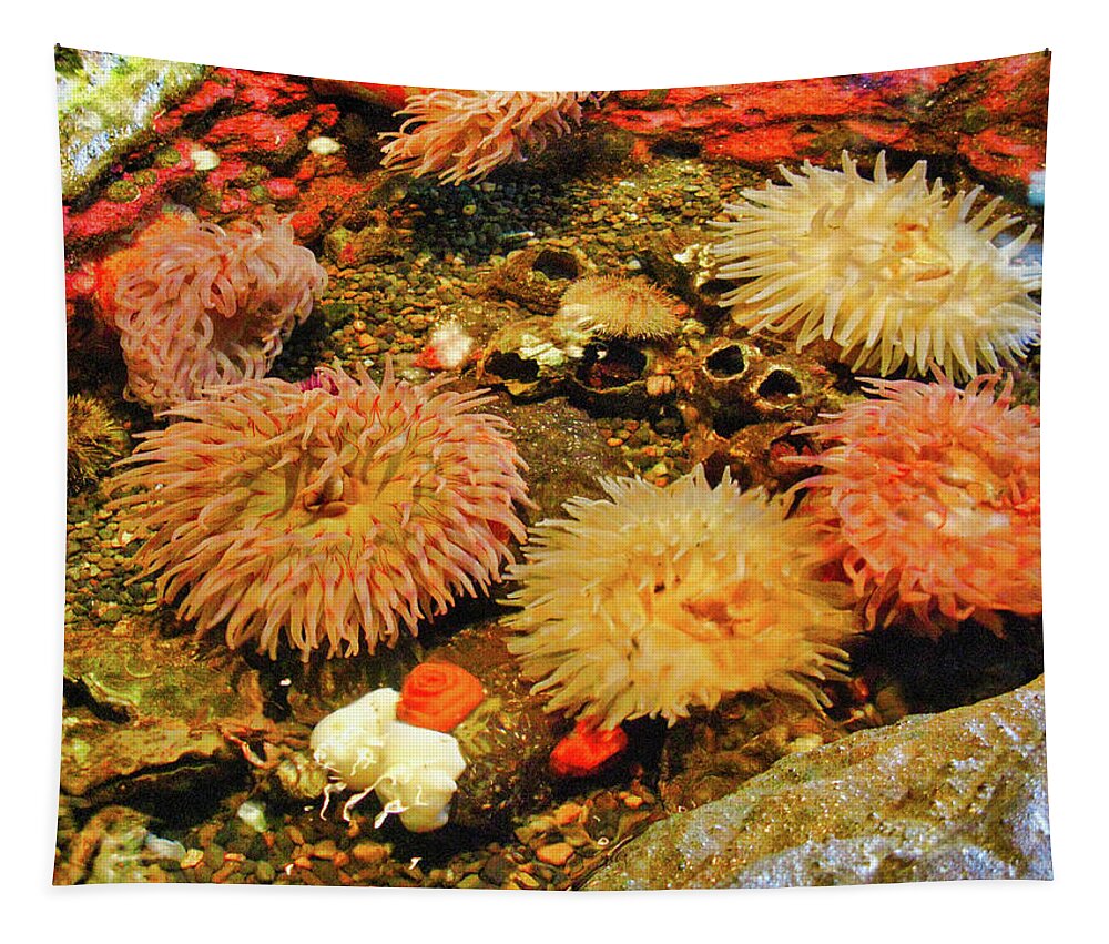 Aquariums Tapestry featuring the photograph Coral at Seattle Aquarium by Segura Shaw Photography