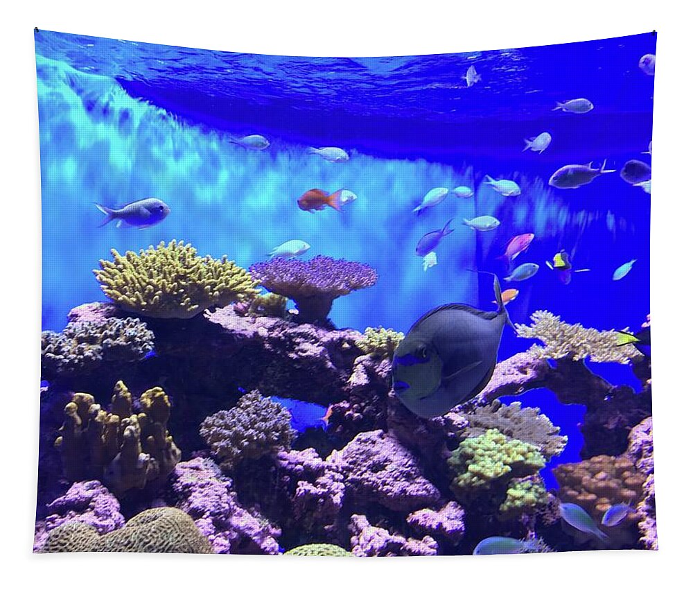 Fish Tapestry featuring the photograph Coral Life by Bnte Creations