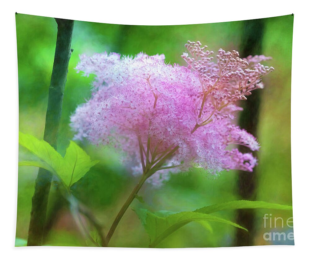 Queen Of The Prairie Tapestry featuring the photograph Cotton Candy Floral Joy by Anita Pollak