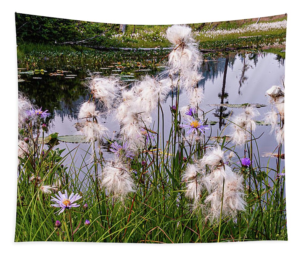 Landscapes Tapestry featuring the photograph Cotton Grass by Claude Dalley