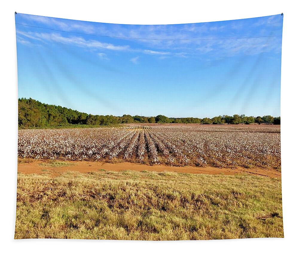 Cotton Tapestry featuring the photograph Cotton Rows by Barry Jones